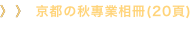 shapeimage_19_link_0