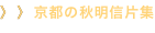 shapeimage_9_link_0